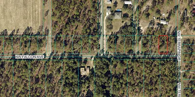 TBD NW FALCON AVE, LOT 33 Dunnellon FL