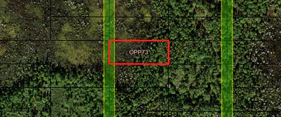 0 Old Grade Road, FL 33868 Polk City FL