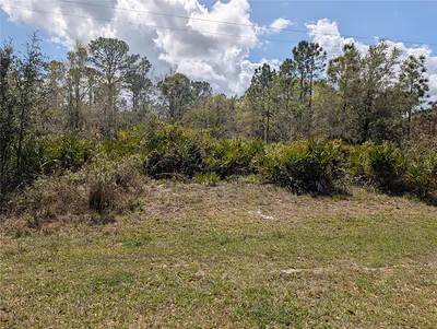 817 POINCIANA DRIVE Indian Lake Estates FL