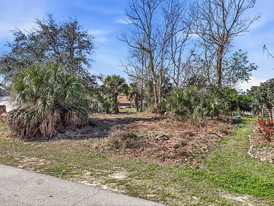 35 CORAL REEF COURT N Palm Coast FL