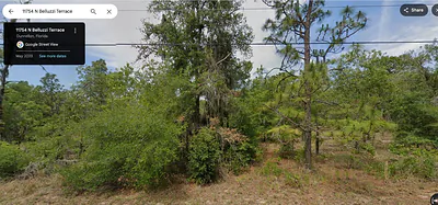 11754 N BELLUZZI TERRACE Dunnellon FL