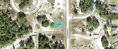 1318 HILLSBOROUGH DRIVE Poinciana FL