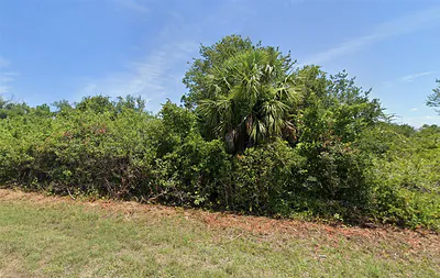 13879 BEGONIA CIRCLE Port Charlotte FL