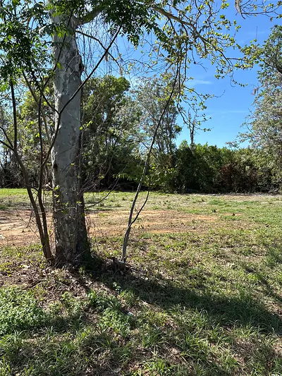 0000 STATE ROAD 19 Groveland FL