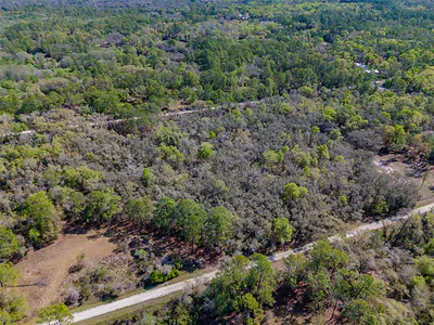 7262 SONIA AVENUE Webster FL