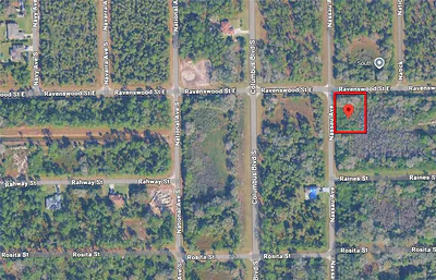 141 NASSAU AVENUE S Lehigh Acres FL