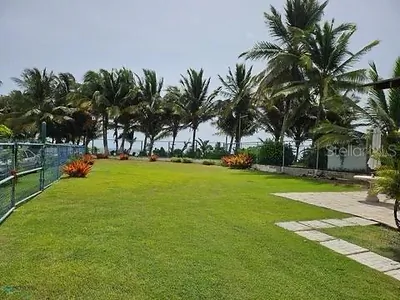 Las Picuas Beach BO. ZORZAL ORCHARD 6 #6 Rio Grande PR
