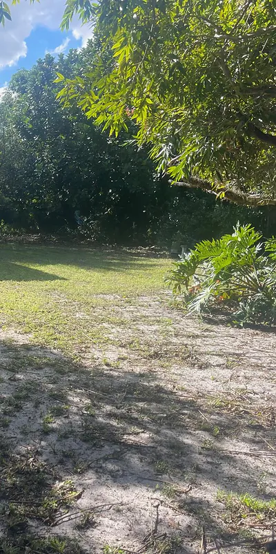2424 Monroe Street, Hollywood, FL 33020 Hollywood FL