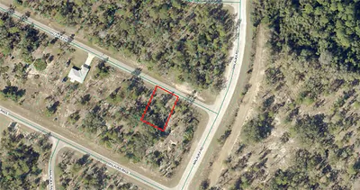 TBD MALAUKA DRIVE Ocklawaha FL