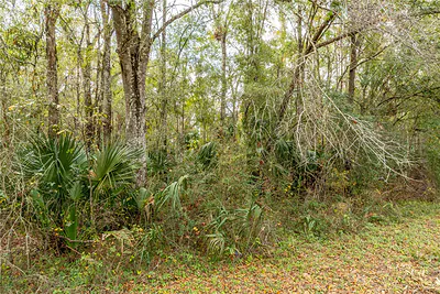 LAKE LINDSEY TRACT 2 ROAD Brooksville FL