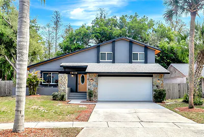 16133 RAVENDALE DRIVE Tampa FL