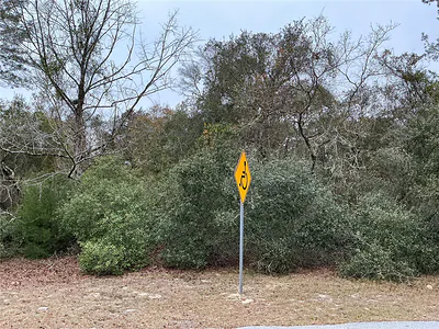 SW 137TH LOOP Ocala FL