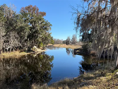1340 CYPRESS COVE COURT Inverness FL