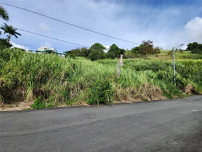 URB VALLE IMPERIO LOTE 5 Bayamon PR