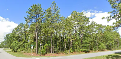 2020 CR 243 B Wildwood FL