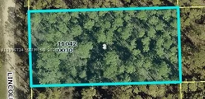 1120 Lincoln Avenue, Lehigh Acres, FL 33972 Lehigh Acres FL