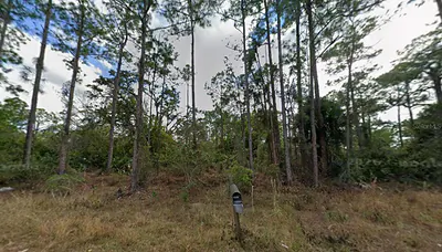1210 RAPHIA STREET E Lehigh Acres FL