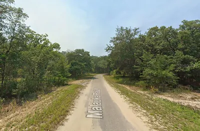 MALAUKA RADIAL Ocklawaha FL