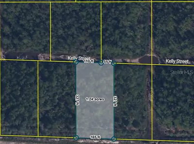 PID 21-10-28-2775-00040-0157 NO STREET Hastings FL
