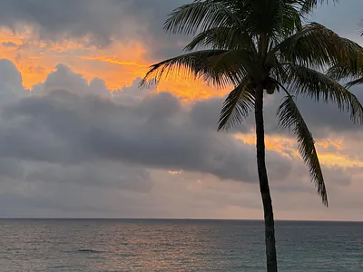 6000 N Ocean Boulevard 2d, Lauderdale-By-The-Sea, FL 33308 #2d Lauderdale By The Sea FL