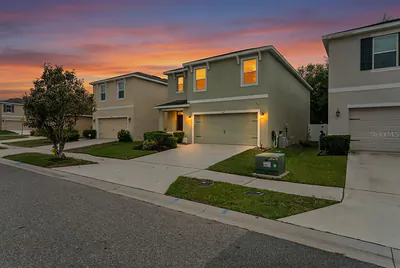 3517 WINTERBERRY LANE Valrico FL