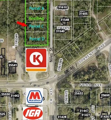 31577 NILES STREET Mount Plymouth FL