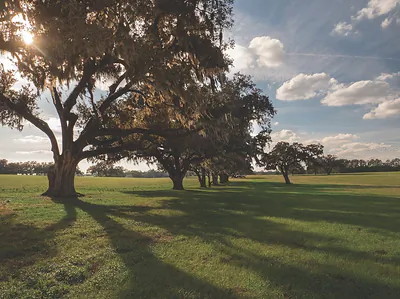 TBD NW GAINESVILLE ROAD Reddick FL