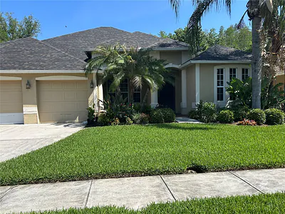 26612 SHOREGRASS DRIVE Wesley Chapel FL