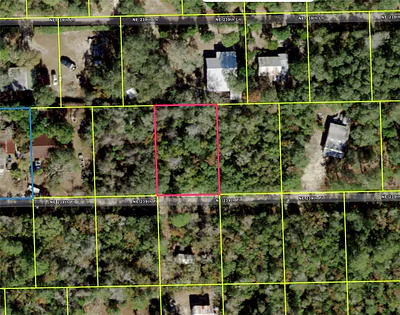NE 239TH PL Fort Mc Coy FL