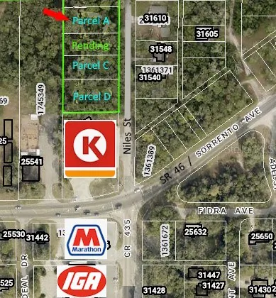 31595 NILES STREET Mount Plymouth FL