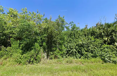 14276 MYAKKA AVENUE Port Charlotte FL
