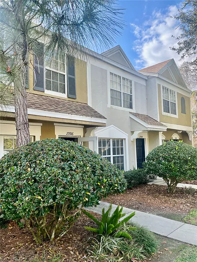 29916 ALTA VITA LANE Wesley Chapel FL