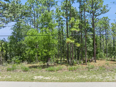 1797 W UNION STREET Hernando FL