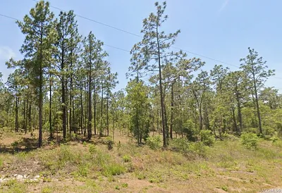 0 NW WATER OAK 5 #5 Dunnellon FL