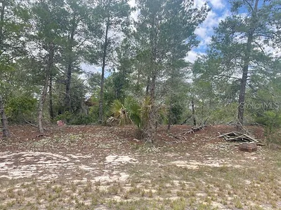 1342 HOMOSASSA DRIVE Poinciana FL