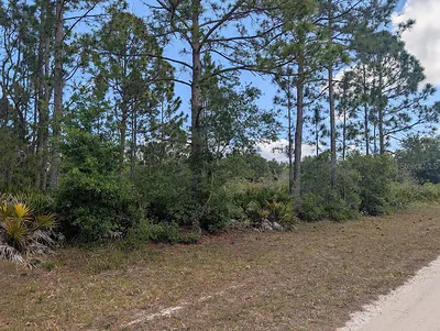 508 ORCHID DRIVE Indian Lake Estates FL