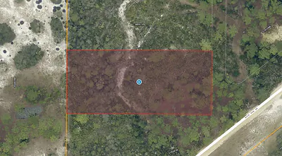 28-17-28-0004-000-03100 BUCK RUN DRIVE Paisley FL