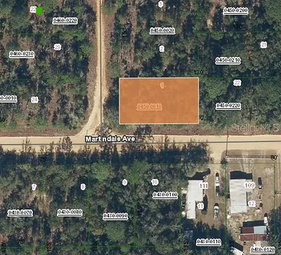 LOT 1 MARTINEDALE AVENUE Interlachen FL