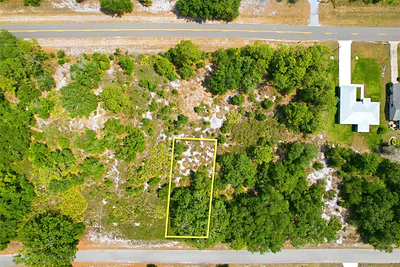 3392 GOSSAMER AVENUE Lake Placid FL