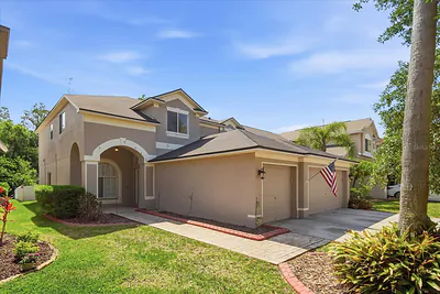 19321 SANDY SPRINGS CIRCLE Lutz FL