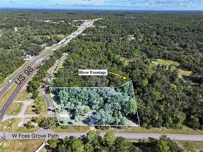 11009 N WITHLA BLUFF POINT Inglis FL