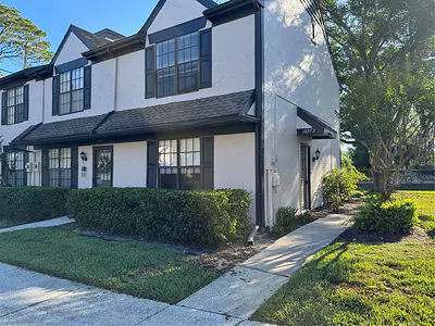 16573 BRIGADOON DRIVE Tampa FL