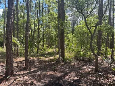 0 Dahlia Rd Road, Deland, FL 32724 Deland FL