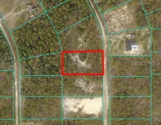 5980 SW 127TH AVE ROAD Ocala FL