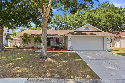 1510 KYLE COURT Valrico FL