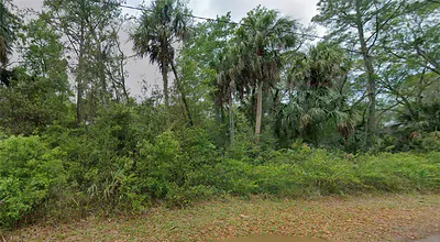 11148 W CEDAR LAKE DRIVE Crystal River FL