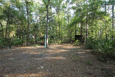 7982 W MAYFAIR DRIVE Homosassa FL