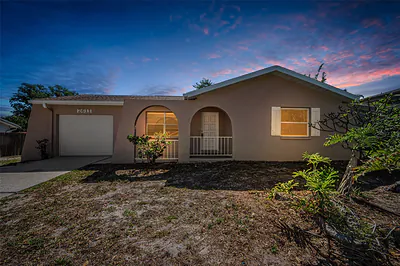 2611 KNOLL STREET W Palm Harbor FL