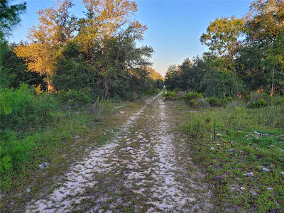 NE 61ST LANE Williston FL
