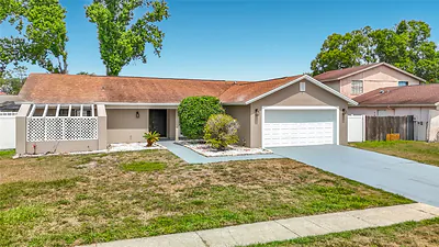 16206 FANTASIA DRIVE Tampa FL